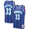 Classico Delizioso Alonzo Mourning Charlotte Hornets 1994/95 Hardwood Classics Swingman Jersey Purple