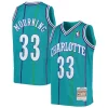 Gorgeous Prestigioso Duraturo Alonzo Mourning Charlotte Hornets Youth 1992/93 Hardwood Classics Swingman Jersey Teal