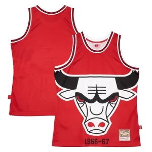 Robusto Duraturo Chicago Bulls Hardwood Classics Blown Out Fashion Jersey Red