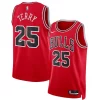 Accattivante Classico Fantastico Dalen Terry Chicago Bulls Nike Unisex 2022 NBA Draft First Round Pick Swingman Jersey Icon Edition Red