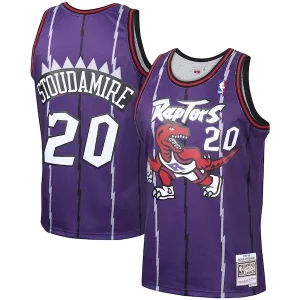 Sofisticato Accattivante Delizioso Damon Stoudamire Toronto Raptors 1995/96 Hardwood Classics Swingman Jersey Purple
