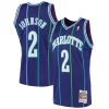 Bellissimo Attraente Larry Johnson Charlotte Hornets 1994/95 Hardwood Classics Swingman Jersey Purple