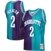 Cool Fantastico Trendy Larry Johnson Charlotte Hornets Hardwood Classics Split Swingman Jersey Teal/Purple
