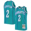 Magnifico Meraviglioso Fantastico Larry Johnson Charlotte Hornets Youth 1992/93 Hardwood Classics Swingman Jersey Teal