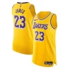 Gorgeous LeBron James Los Angeles Lakers Nike Authentic Jersey Icon Edition Gold